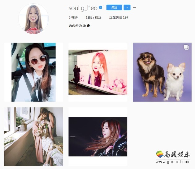 率智忽然删除Instagram  仅剩下自己与狗狗的照片