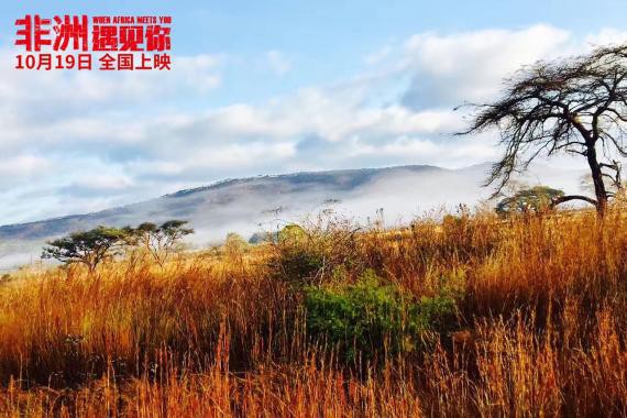 《非洲遇见你》“草原的悲鸣”特辑:揭开非洲草原不忍直视的血腥场面 《非洲遇见你》“草原的悲鸣”特辑:揭开非洲草原不忍直视的血腥场面