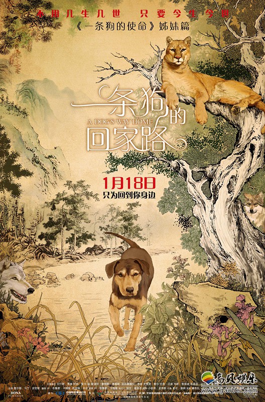 《一条狗的回家路》首映看片会中国风海报：狗狗贝拉冒险之旅有惊有喜