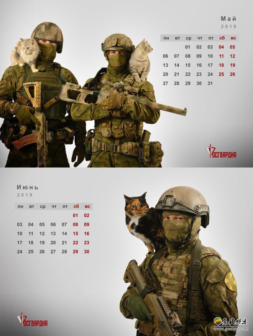 俄罗斯国民禁卫军2019年日历:大兵们居然在撸猫!画风可以说十分有趣