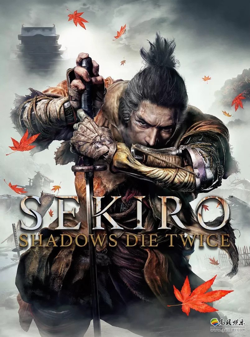 《只狼:影逝二度》ps4 pro测试版分析:帧数平均45帧!运行效果不稳定