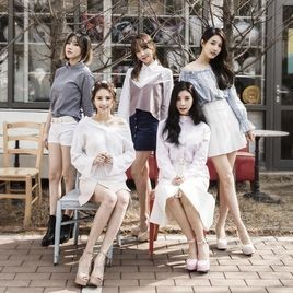 FIESTAR是什么时候推出的女子组合？