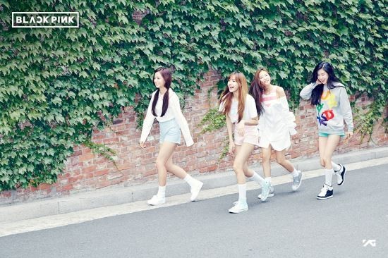 新人女团BLACK PINK7月底正式出道 YG娱乐称暂无计划推出其他女团