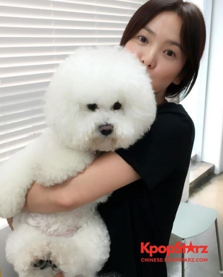 宋慧乔29日更新个人INS上传一张自己抱着宠物狗的照片