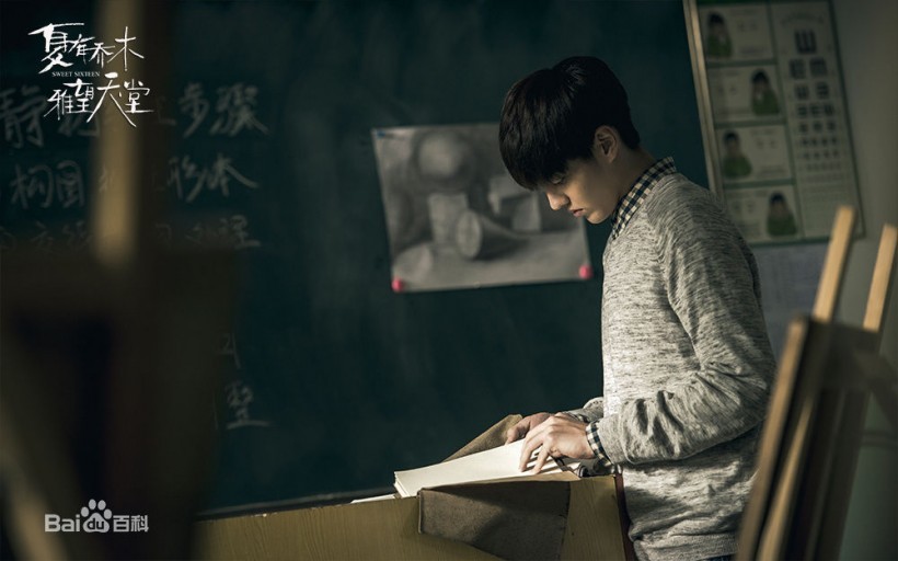 《夏有乔木雅望天堂》的主演有哪些？