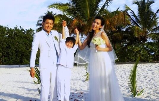 林志颖什么时候公布的婚讯？