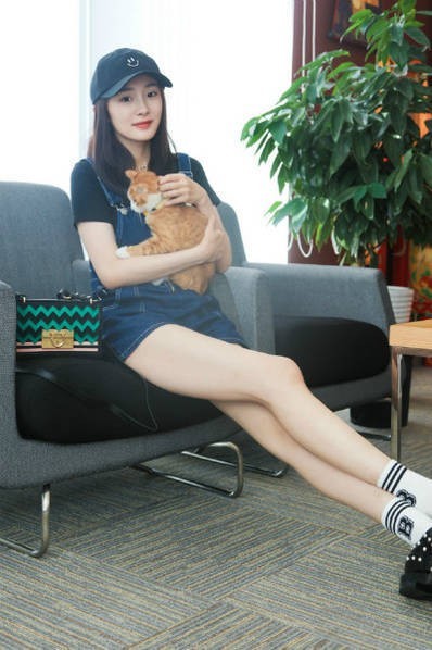 杨幂宠溺猫咪？大长脚抢镜？