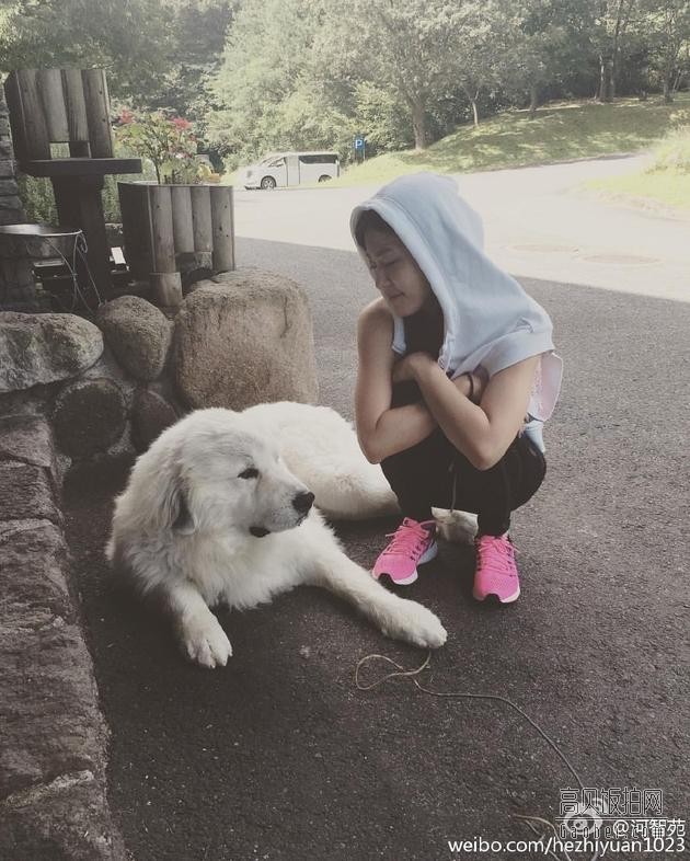 河智苑在微博晒出健身时与一只大白狗的照片