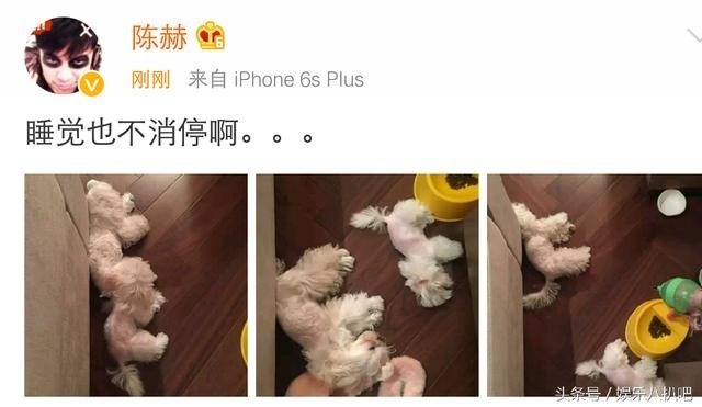 陈赫一晒微博，，网友又亮了？