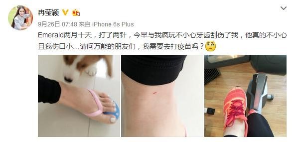 冉莹颖被狗咬伤就医被敷衍了？