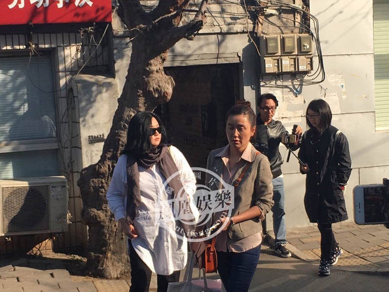 张铁林和其私生子母亲互相起诉案件在朝阳法院进行审理