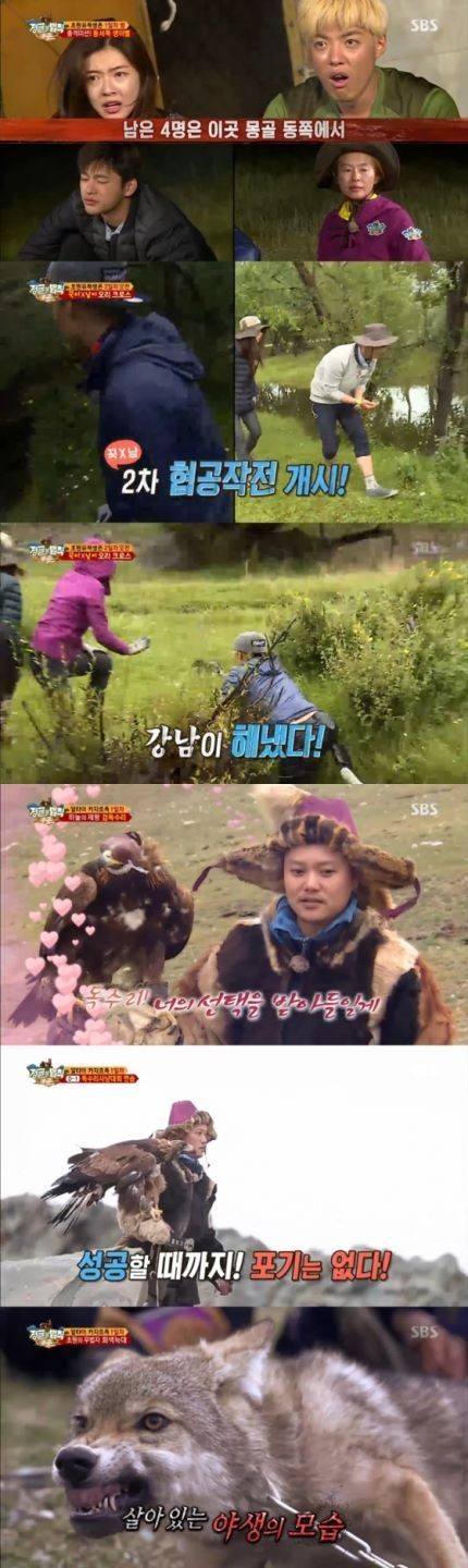 综艺节目《丛林的法则》“蒙古篇”收视率为14.3%