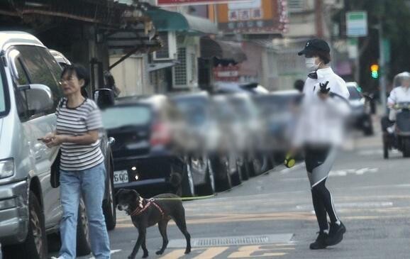据台湾媒体报道，林依晨婆媳相处融洽