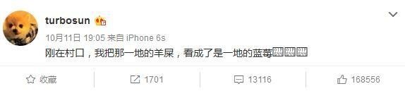 孙俪误把羊屎当蓝莓，这回又二了一把？