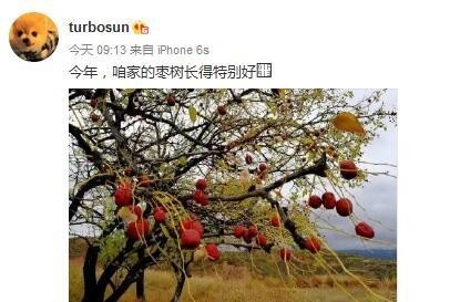 娘娘变淘宝卖家了？还申明不包邮？