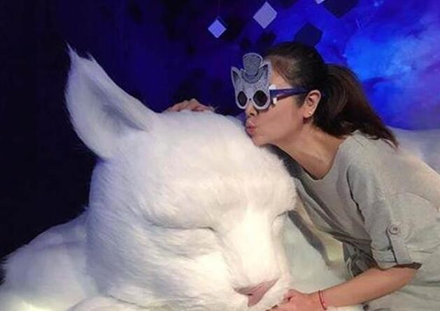 林心如挺孕肚去看什么摄影展了？