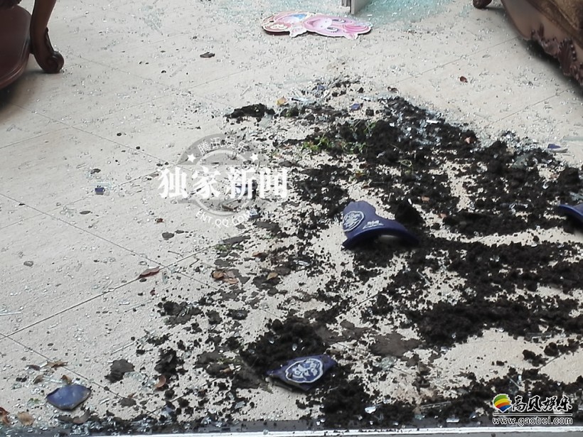 张纪中又怒砸樊馨蔓家逼签离婚协议？