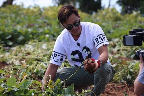 李瑞镇在地里挖地瓜