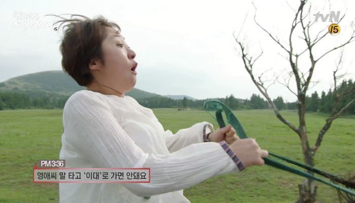 tvN电视剧《无理的英爱小姐第15季》暗讽崔顺实女儿以特权进梨大