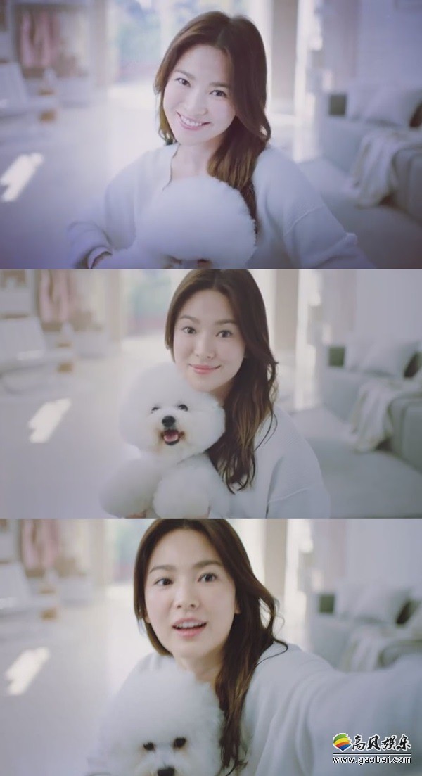 纯洁的美女”宋慧乔 清纯的教的科书