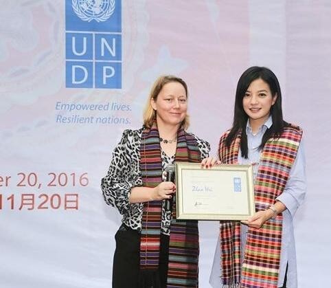 赵薇担任了什么大使？