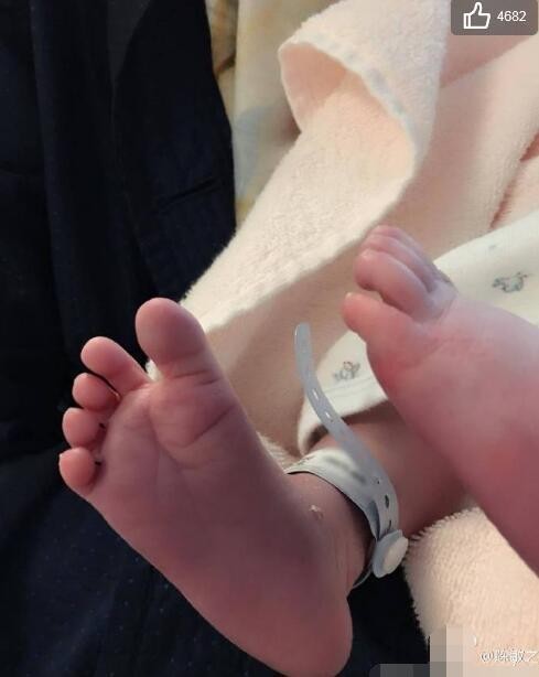 陈敏之是怎样发文报喜的？