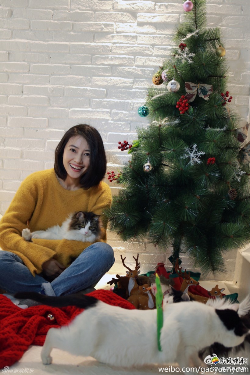 高圆圆在微博晒出为圣诞节拍摄的写真照