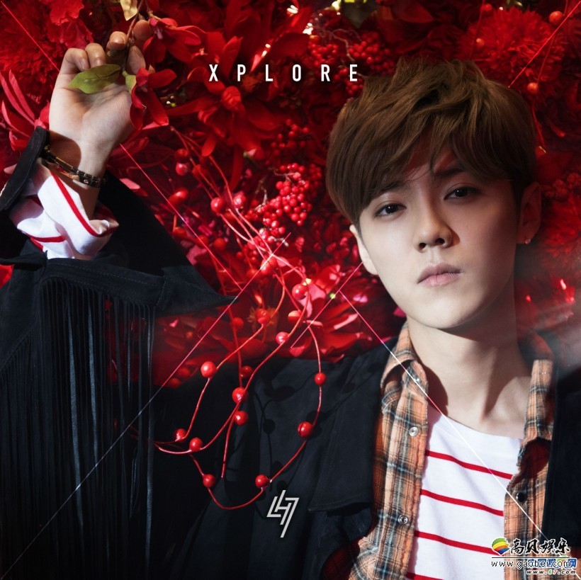 鹿晗曝光一组全新梦幻复古写真