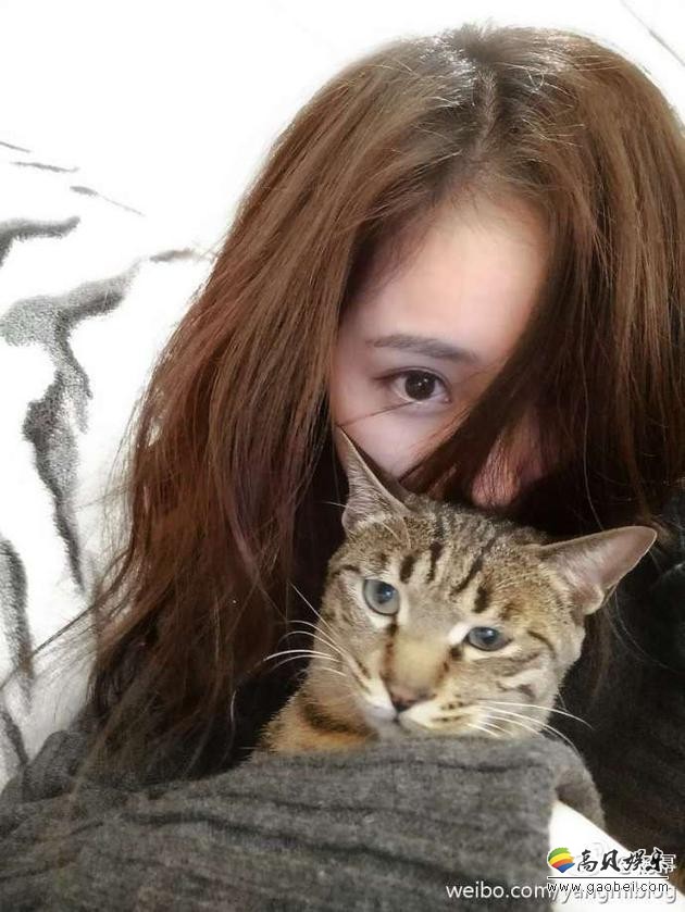 杨幂在微博晒出和爱猫的合影，并自曝被爱猫咬