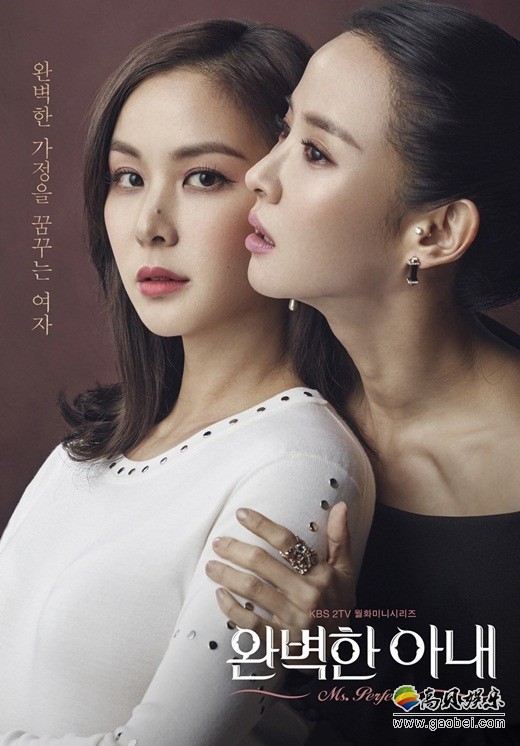 新剧《完美的妻子》公开了主演高素荣和赵如晶的官方海报