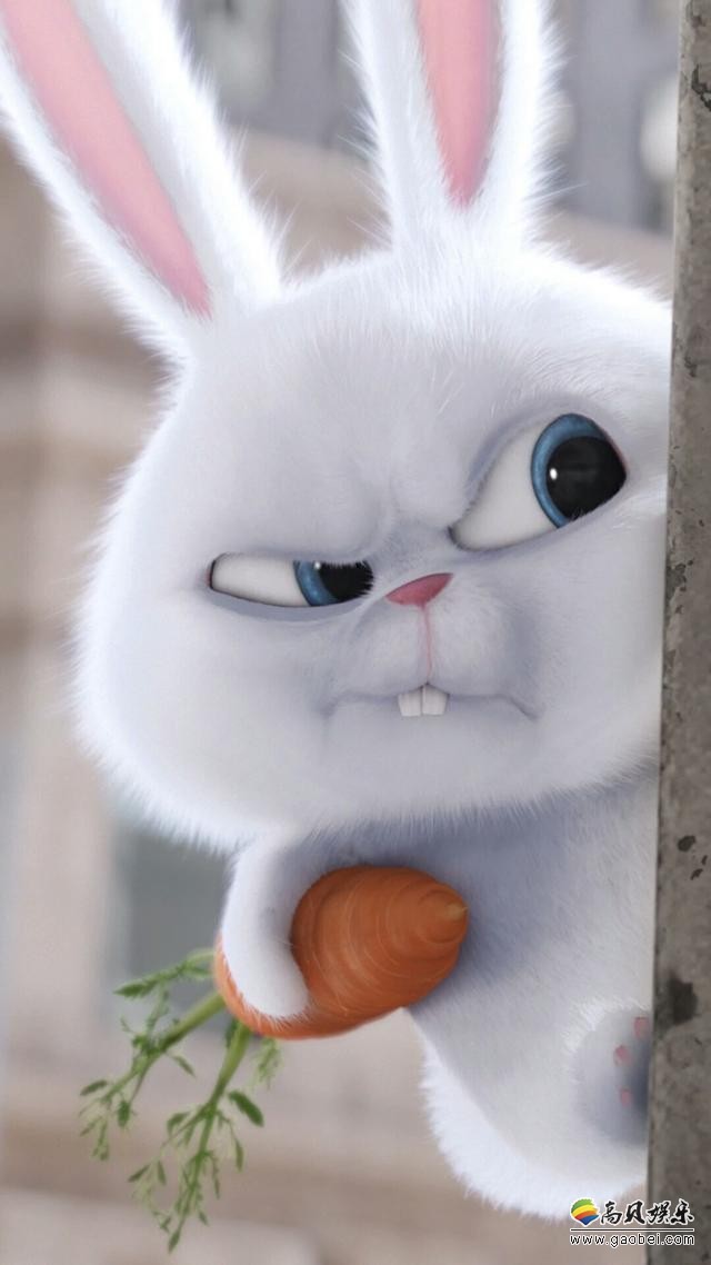 为什么好多女明星不生孩子？