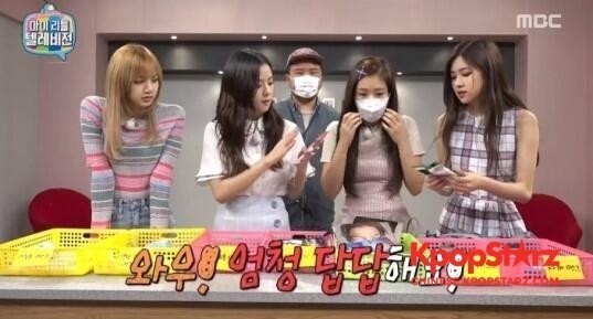 "综艺新人"女团Blackpink出演《我的小电视》