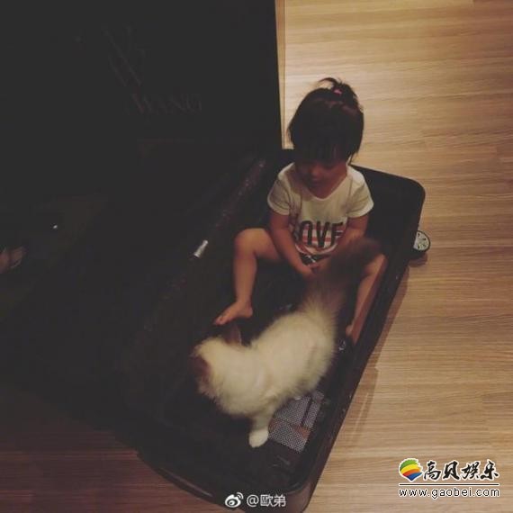 欧弟在微博上晒出了把自己的女儿和猫咪放在行李箱中的照片
