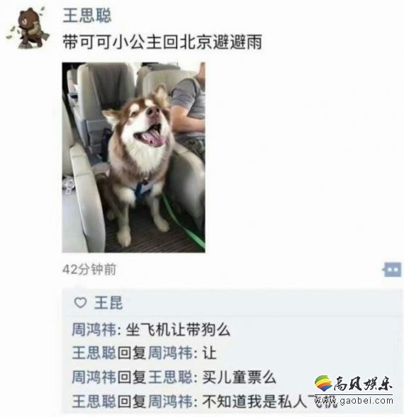 王思聪晒出一张自家爱犬坐在飞机上的照片