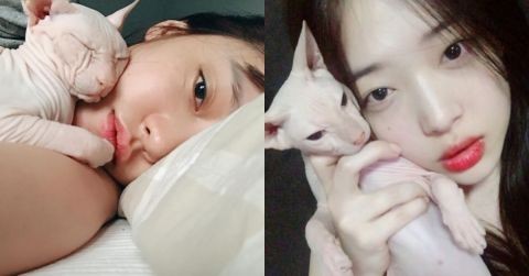 具荷拉PO了张自拍照 被网友发现：这是在cosplay好友Sulli吗？