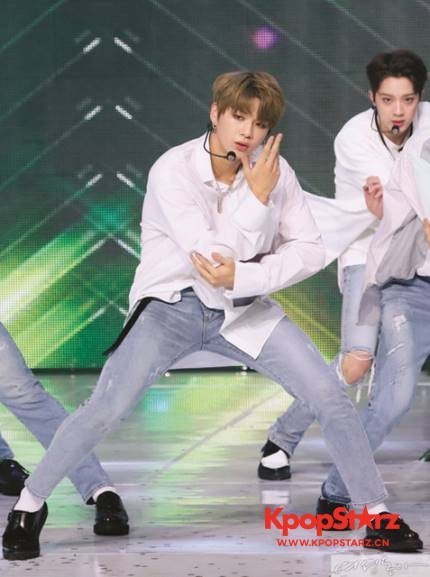 炙手可热的组合Wanna One  粉丝的行为对偶像的负面影响相当大
