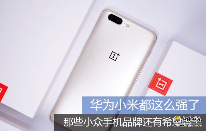 华为、小米这么强，那些小众手机品牌还有希望？