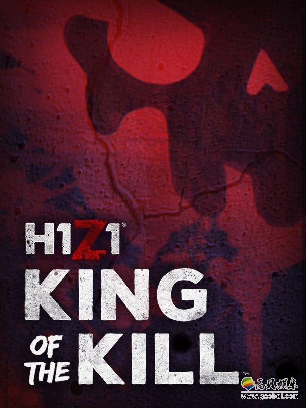 重庆某网吧：非法下载传播《H1Z1：King of the kill》被查处