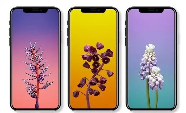 发布在即：苹果iPhone X暗红版曝光，亦或是顶配专享