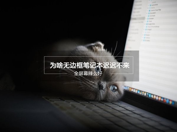 全屏幕辣么好：为啥无边框笔记本迟迟不来