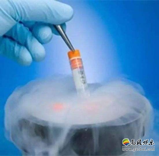科技公司员工享受许多特权：“卵细胞冷冻保存”福利最具争议
