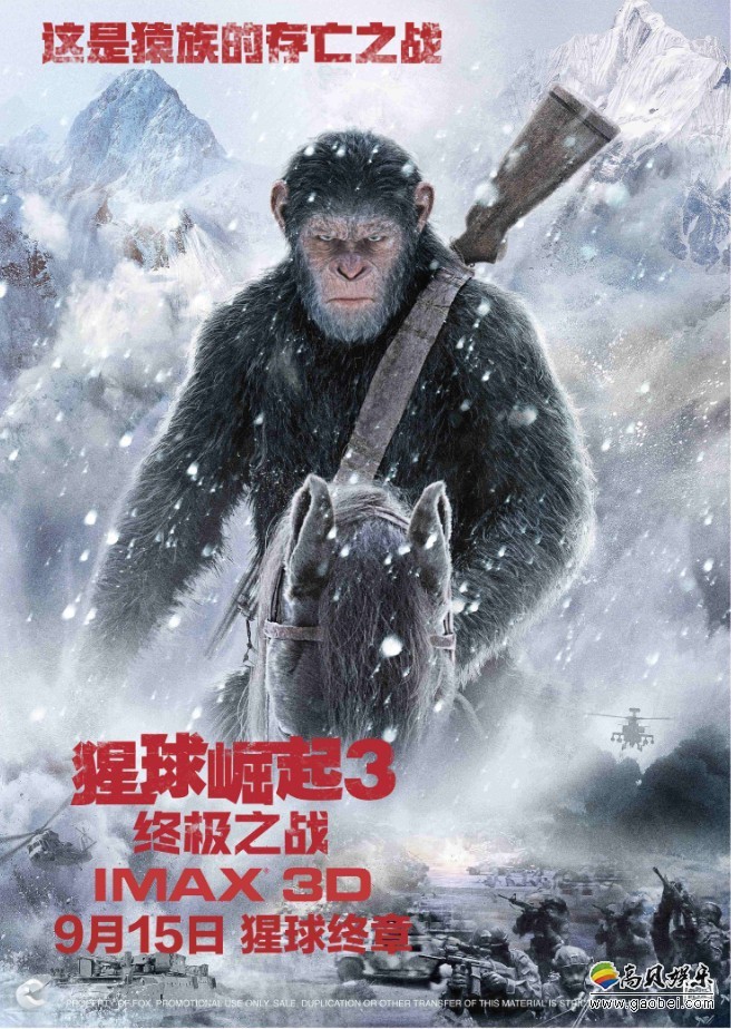 如果"猩猩"真的崛起，会是什么光景？脑洞大开：种族或起纷争