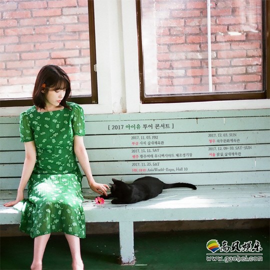 IU的巡回演唱会什么开始举行？