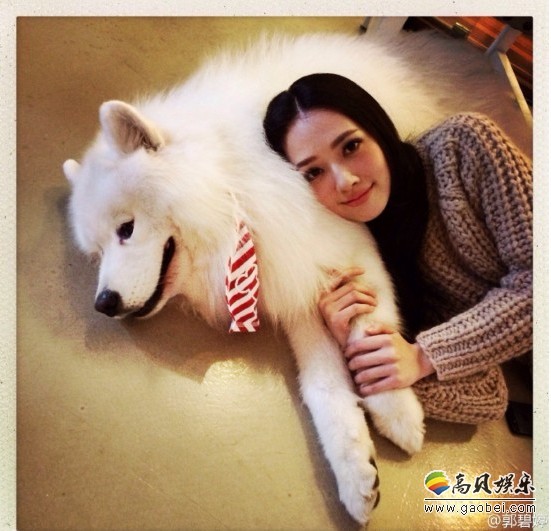 每位明星都有自己喜爱的宠物,看看那些和艺人亲如家人的宝贝们! 每位明星都有自己喜爱的宠物,看看那些和艺人亲如家人的宝贝们!