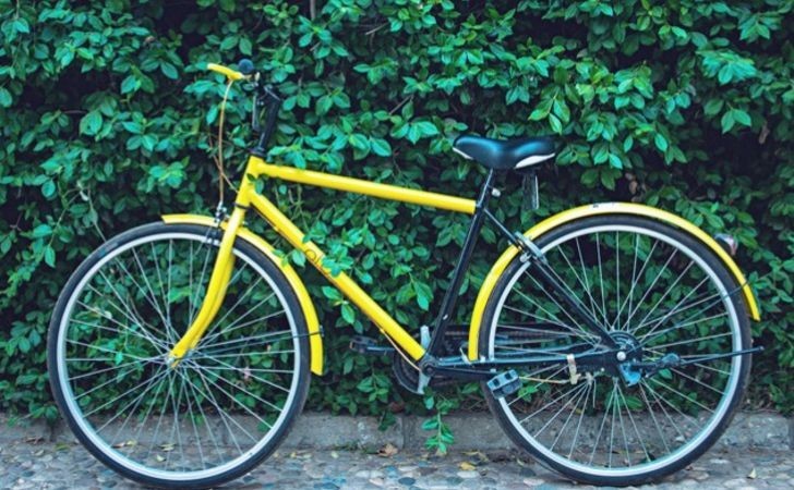 美国沃顿商学院副院长撰写文章，谈到中国共享单车的迅猛发展