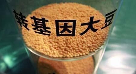美国生物学家和遗传学家发现：转基因大豆油的积极和消极属性都有