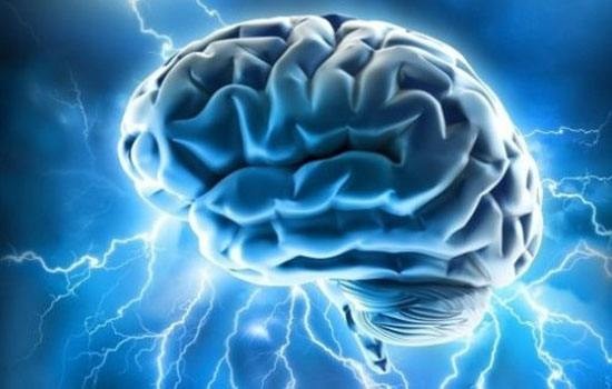 科学家培育出“迷你”大脑:直径4毫米微型球状 科学家培育出“迷你”大脑:直径4毫米微型球状