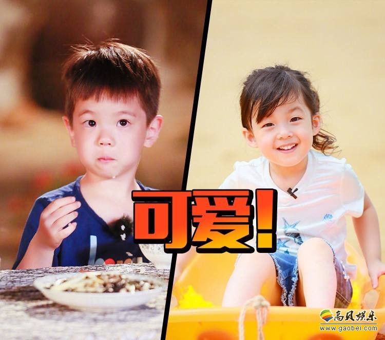 网友机场偶遇嗯哼小泡芙，嗯哼全程乖巧听话，小泡芙很安静