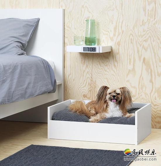 宜家推出首个宠物系列：来帮“铲屎官”讨好主子