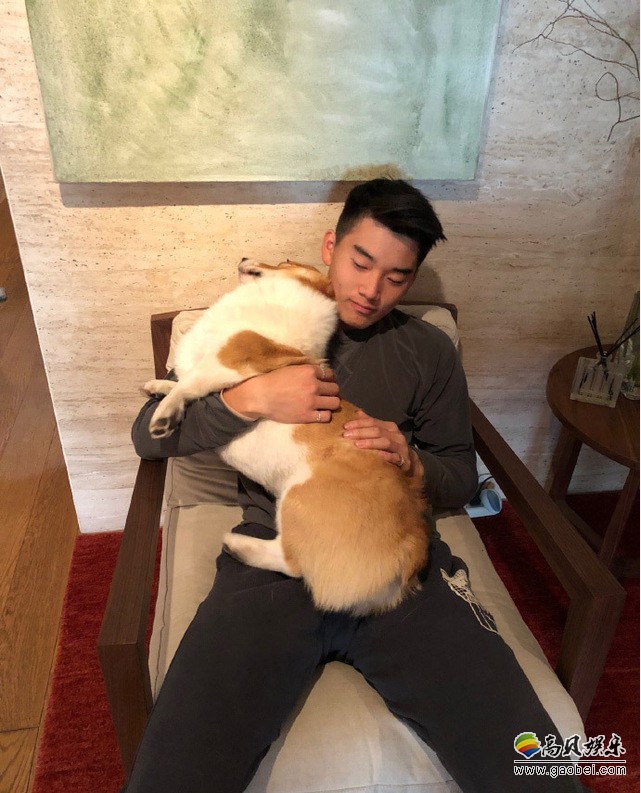 林依轮小儿子林子轩微博晒照：坐在椅子上抱着宠物狗